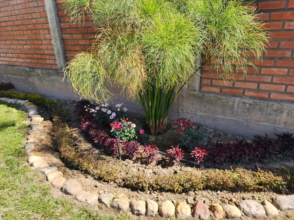 Plantas y flores en uno de los jardines de la villa
